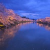弘前城　ライトアップの画像