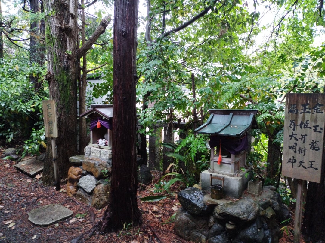 菊蔵の｢旅は京都、さらなり｣(旅と歴史ブログ)