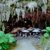【沖縄TRIP②】ガンガラーの谷ツアーの画像
