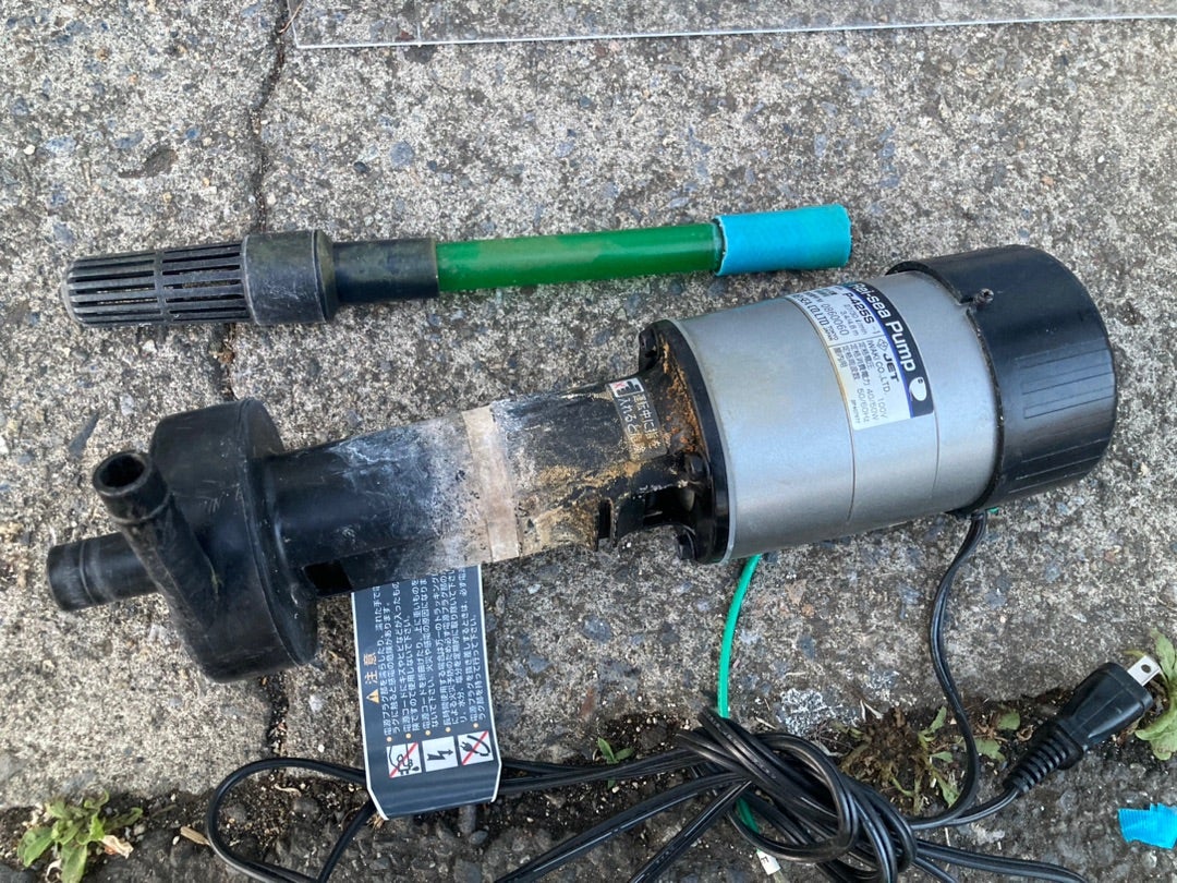 中古120cm用レイシー上部フィルター | AQUAHYSのブログ 中古120cm用レイシー上部フィルター | AQUAHYSのブログ