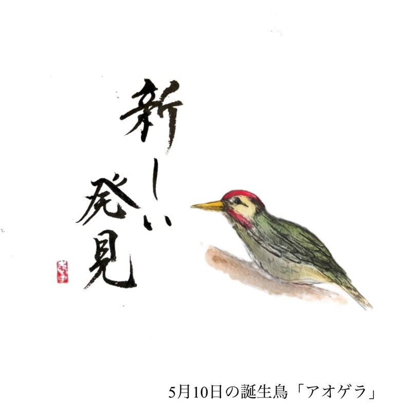 真鶴の書道 筆文字 ペン字教室 〜アート書家 愛子〜5月10日の誕生鳥と鳥言葉