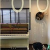 部屋とギターとピアノとベタとの画像