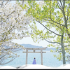 １日だけの凶吉方位についての画像