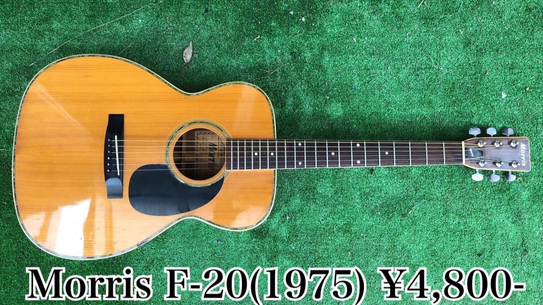 MORRIS F-20 アコースティックギター | アコギDE弾き語り