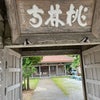 石垣島への画像