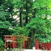 【神社仏閣巡り】石浦神社＠金沢の画像