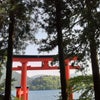 箱根旅行②箱根神社・箱根本宮の画像