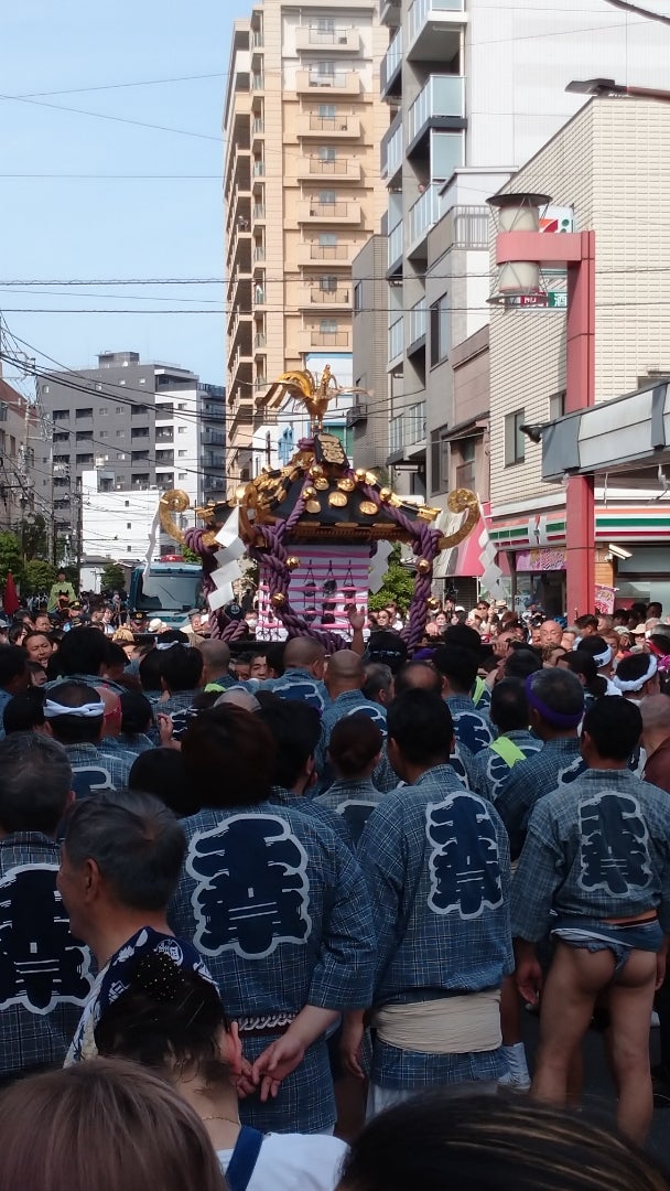 2023.5.22】三社祭(浅草神社例大祭)に参加してきました!(本社神輿