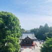 初夏の鎌倉を散策するゲイカップルの休日