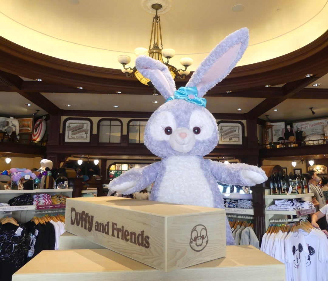 HKDL】日本未発売のグッズに注目 | カメリアさんの雑談、時々 HKDL】日本未発売のグッズに注目 | カメリアさんの雑談、時々