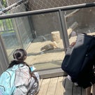 円山動物園に行きました(^^♪の記事より