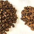 ラオス・ナチュラルのコーヒー豆を選別した。