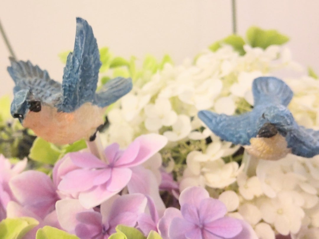 アジサイの鳥カゴとしあわせの青い鳥️️️️ お花が好き！お花の素敵を伝えます！あなたの心に花が咲きますように✨
