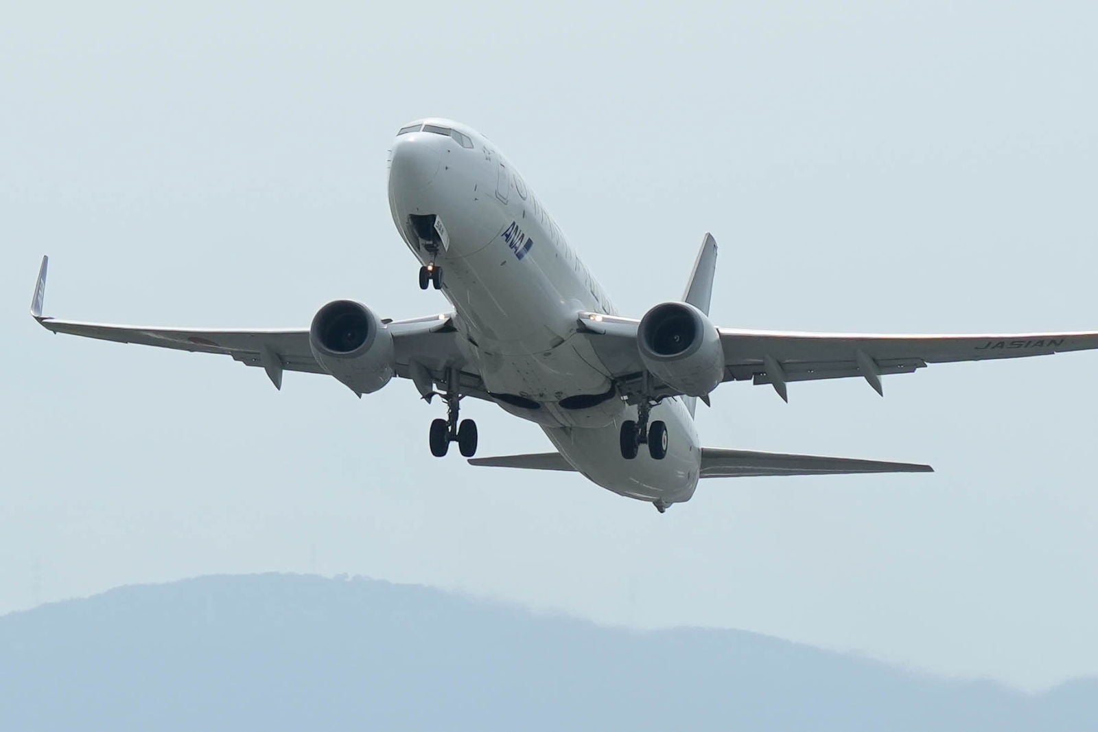 全日空 特別塗装機 スターアライアンス Boeing 737-800 全日空 特別塗装機 スターアライアンス Boeing 737-800