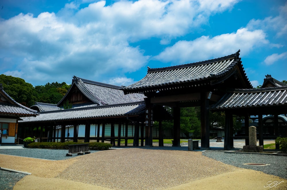 Heligon RODENSTOCK HELIGON 35mm f2.8 | SKの寫眞機道楽