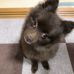 画像 デジタルデトックス生活その1。まずはルール決めときましょ。 の記事より