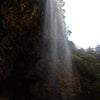 島根県 船で隠岐の滝への画像