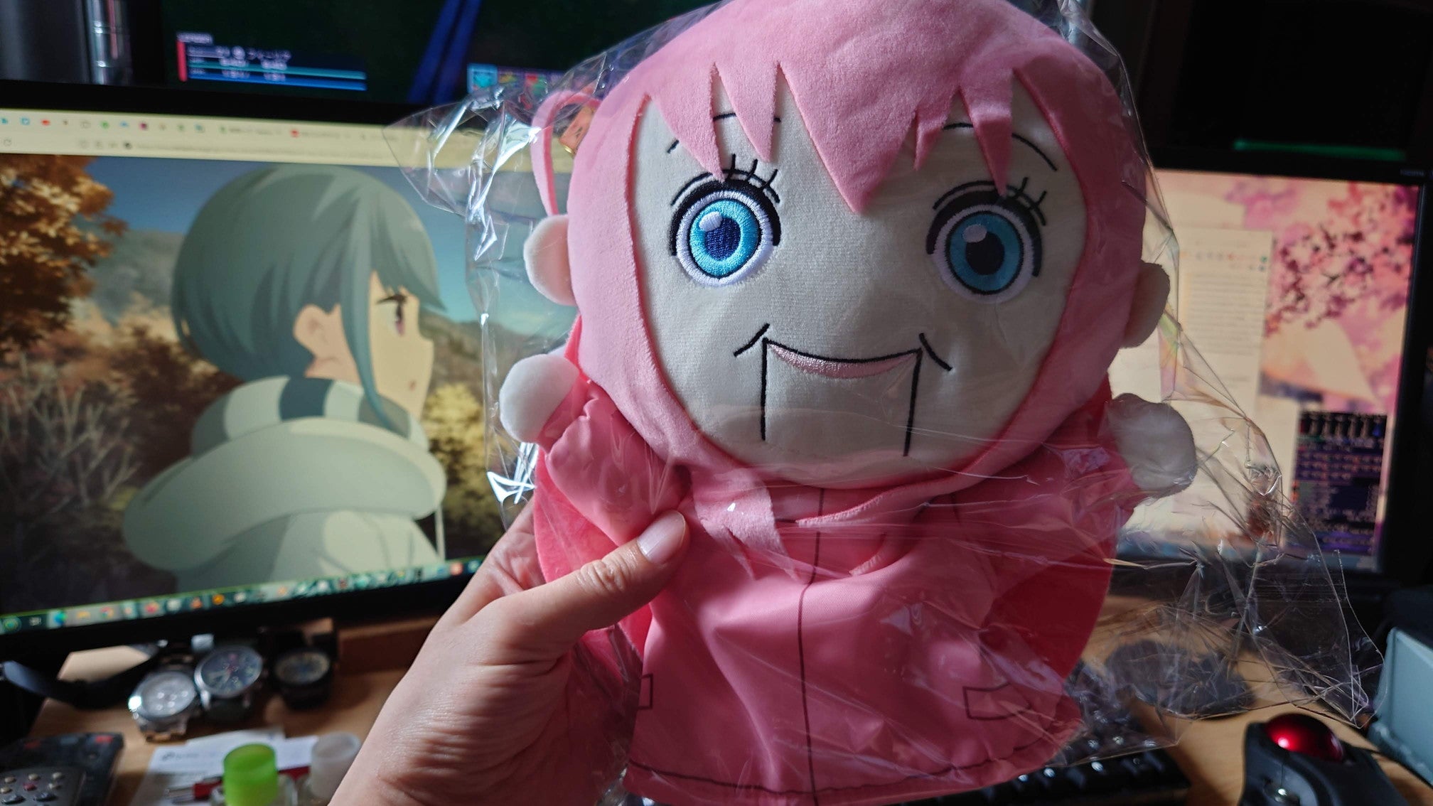 ぼっちちゃん誕生日グッズが届く | 御苑生きのこ 自由日記