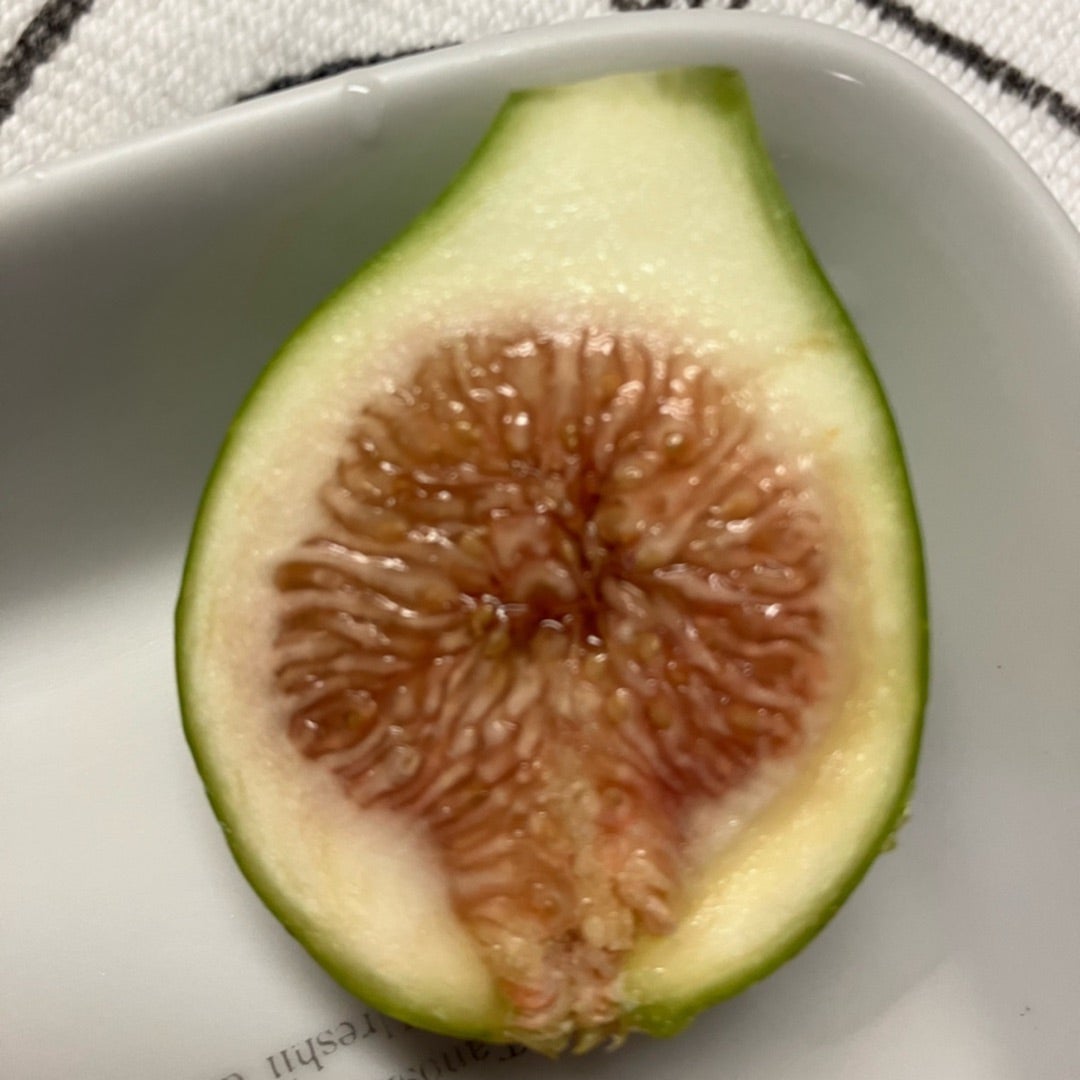 曇りが働きやすいね、お疲れ様 | くみこらんど