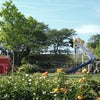 バラの町-安八郡神戸町バラ公園(2023年5月12日撮影)-その4の画像
