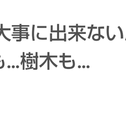 画像 秘密ニュース。【　7月27日　】号。 の記事より 111つ目