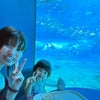 【沖縄2日目】名護方面へ！水槽目の前魚近すぎ水族館カフェに大興奮！の画像
