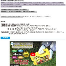 画像 秘密ニュース。【　7月31日　】号。 の記事より 105つ目