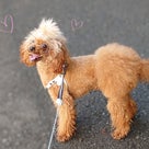 夏休み～♪の記事より