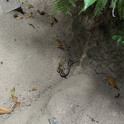 画像 あるこう～あるこう～おいらはげんき～♪　の　はずｗ　 の記事より 37つ目