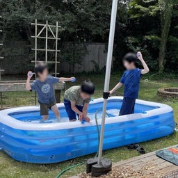 画像  現在、一人暮らし状態です の記事より 1つ目