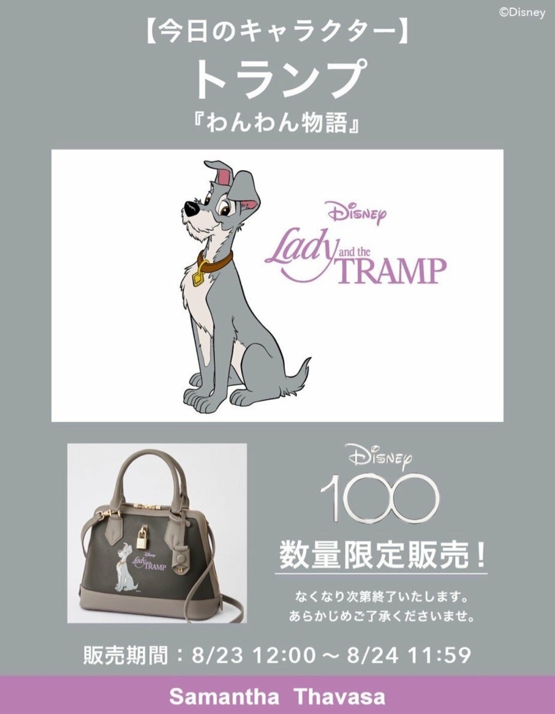 サマンサタバサ Disney100 わんわん物語 トランプ | wic-capital.net