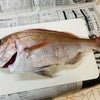 長崎の魚は美味しいですよ～Fromボナペティ～の画像