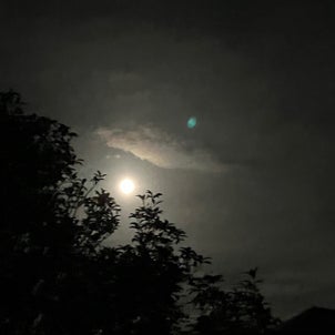 full moonの画像