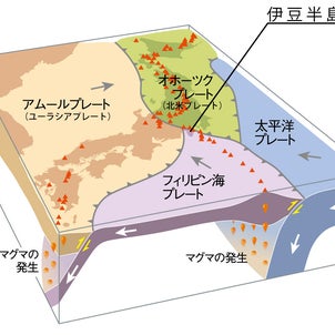 第170回～伊豆大島 プチ情報～東京諸島や船の魅力や穴場スポットを紹介する島トクナビ～の画像