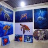 海亀と黒い海の画像