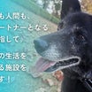 拡散希望：保護犬との生活を伝えられる、家庭犬への訓練施設をつくりたい！