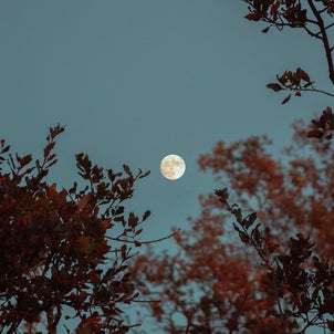9月のオンラインはお月見の日。宇宙を感じて想いを馳せるの画像
