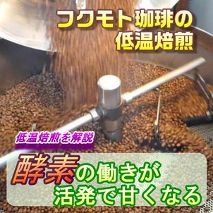 『低温で完熟焙煎』されたコーヒー豆の味は「酸味もまろやかで甘い」の画像