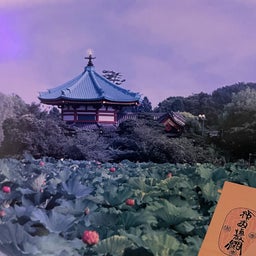画像 今日9月20日は、上野不忍池辯天堂の巳成金大祭なんです〜朝から詣でて参りました❣️ の記事より 1つ目