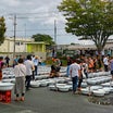 第50回　静岡県金魚品評大会の結果