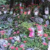 金生山明星輪寺と彼岸花(2023年9月23日撮影)の画像