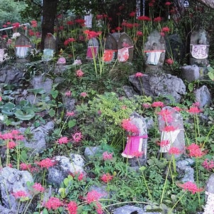 金生山明星輪寺と彼岸花(2023年9月23日撮影)の画像