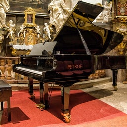 画像 チェコのペトロフピアノと「音作り」 の記事より 2つ目