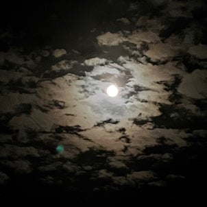 月明かりの画像
