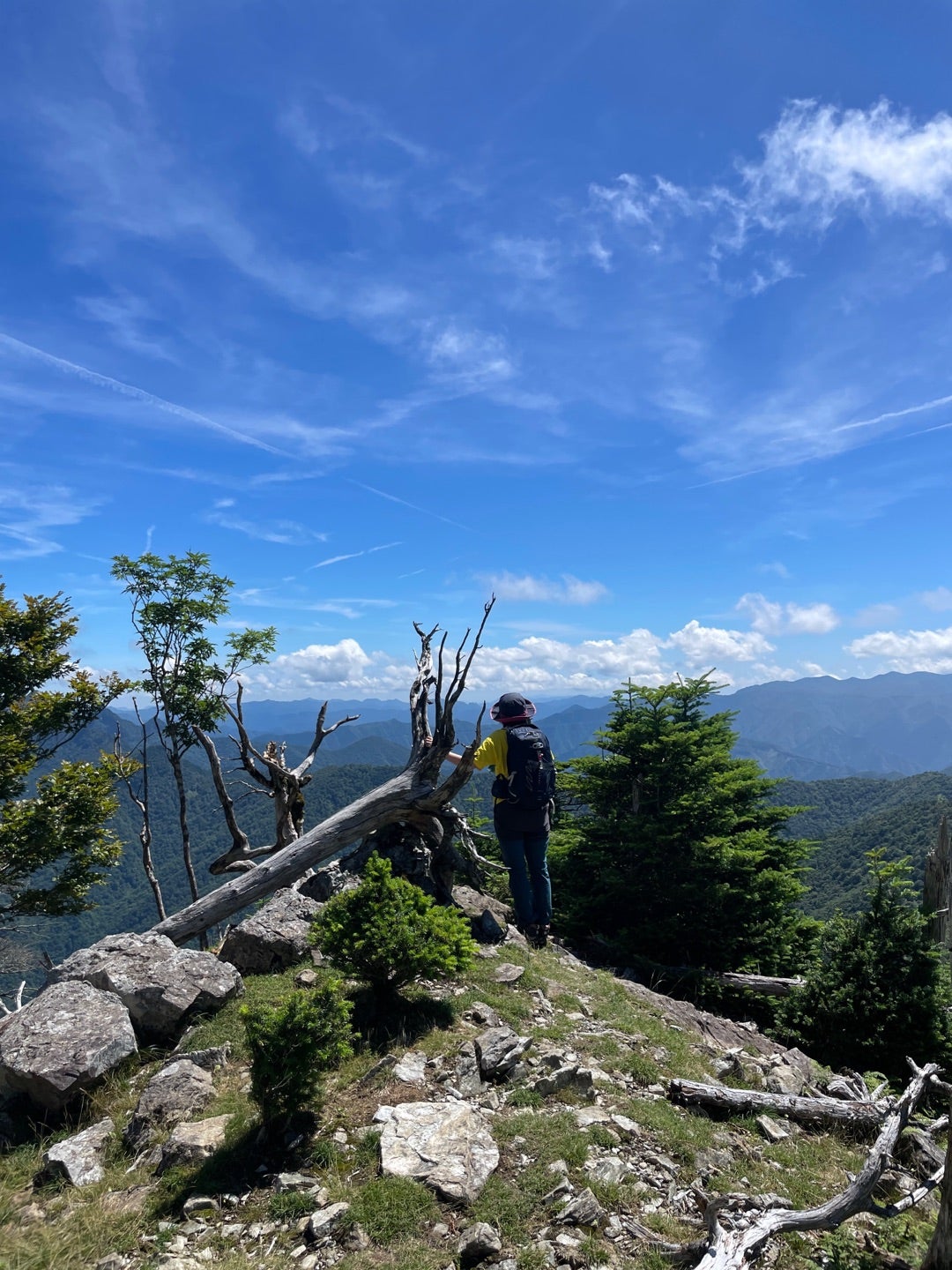 最近の山行きとごあいさつの記事画像
