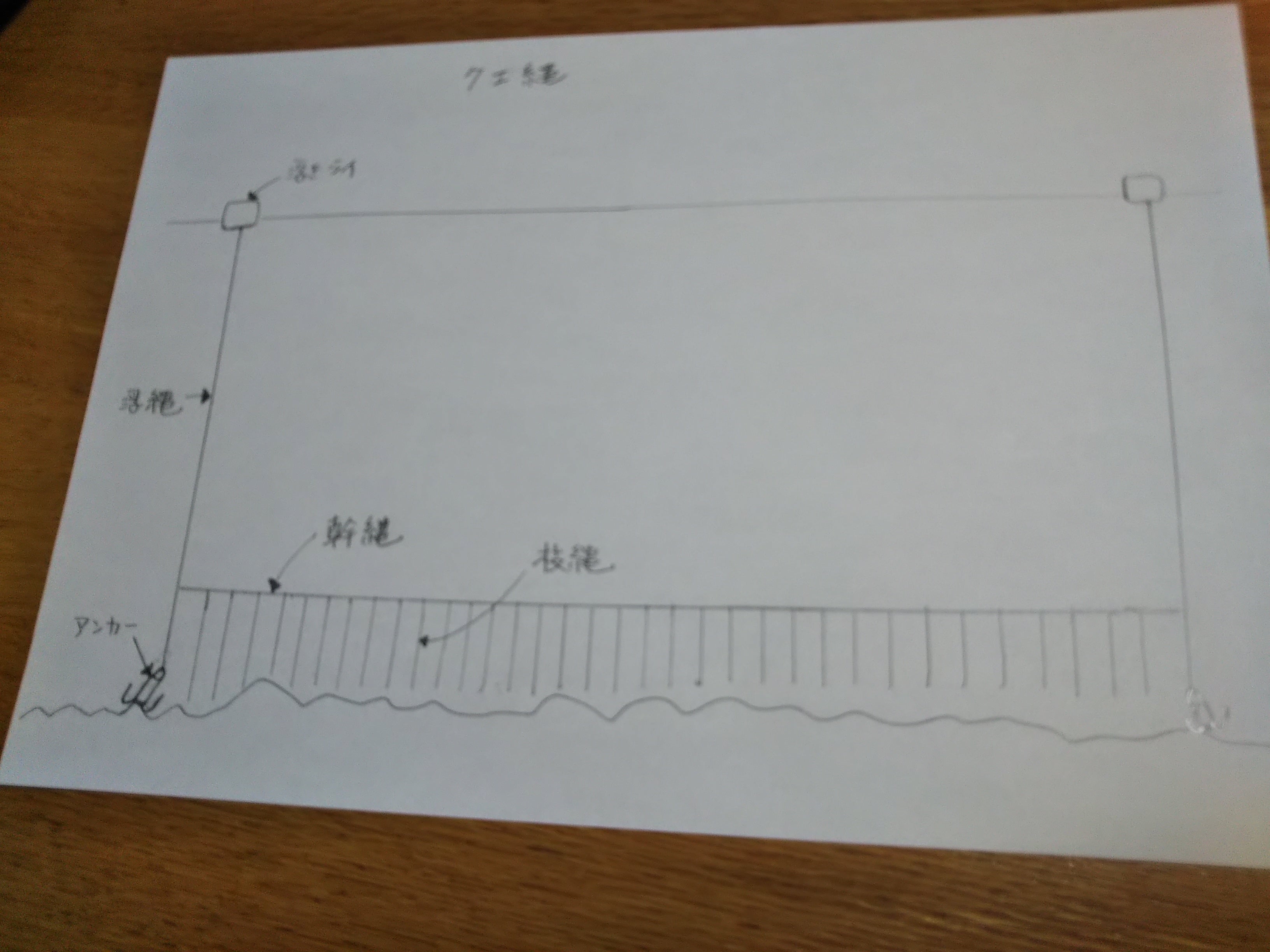 クエ釣り くえ縄漁 | くえ道のブログ