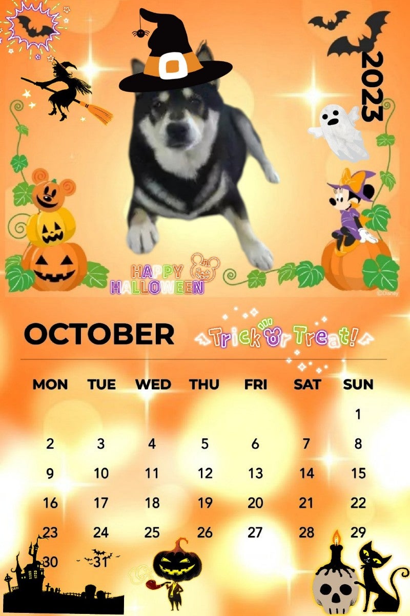 10月のカレンダー』完成♫～麦まりもしょう♡こうめ♡こたまろ♡タイ