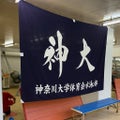 神奈川大学体育会水泳部