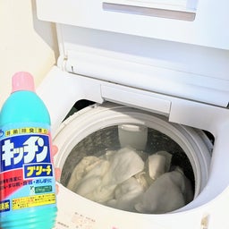 画像 月に一度の洗濯槽の除菌のついでに... の記事より 1つ目