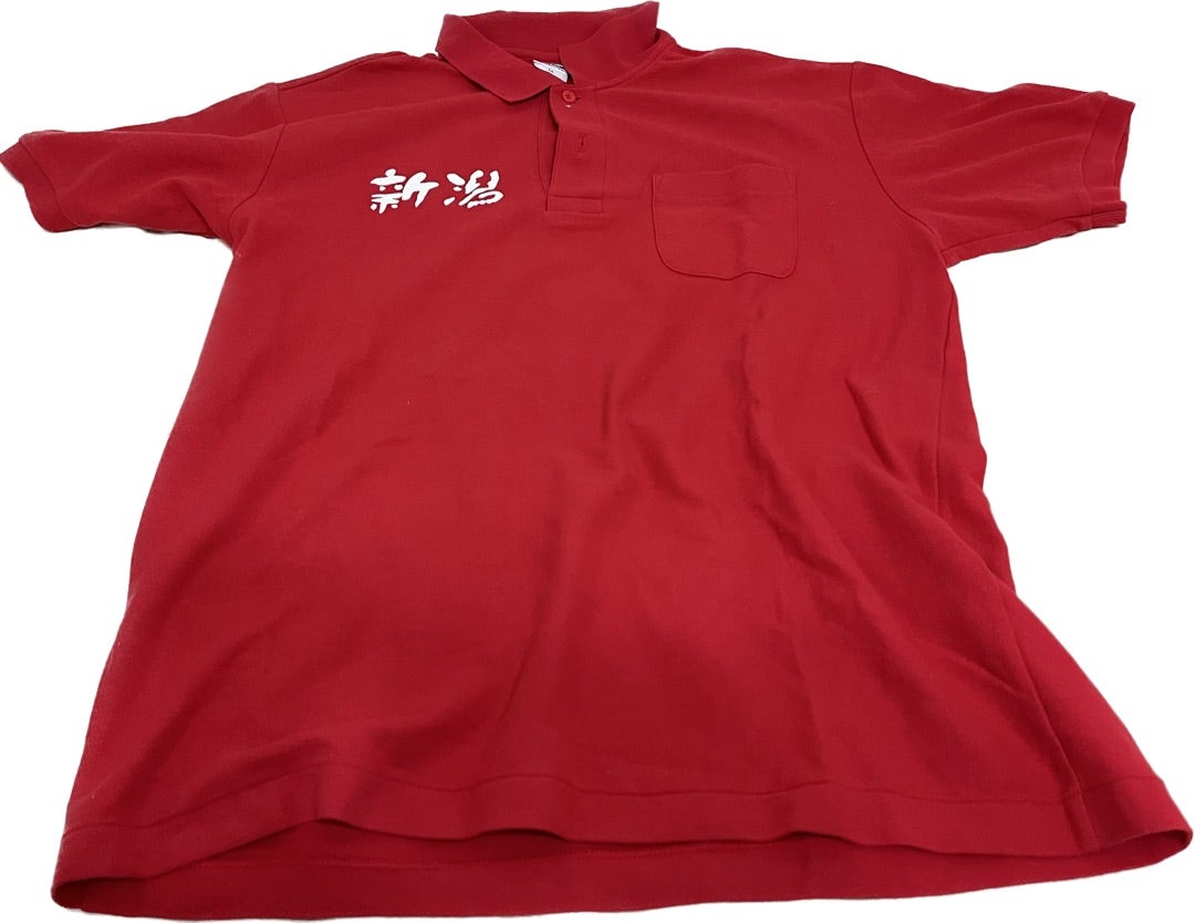 懐かしの記念Tシャツたち | IBIS-haruの水泳ブログ